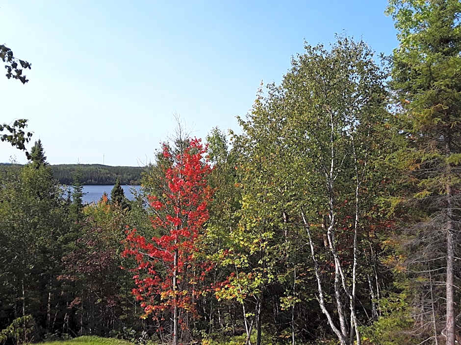 Résidence touristique Lodge des Bois