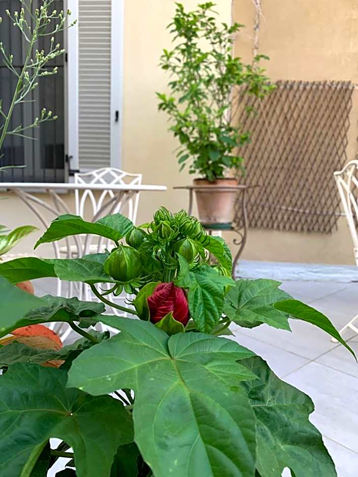 La Terrazza Vercelli Bed & Charme