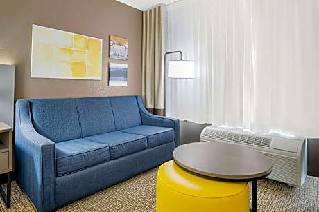 1 King Bed, Nonsmoking