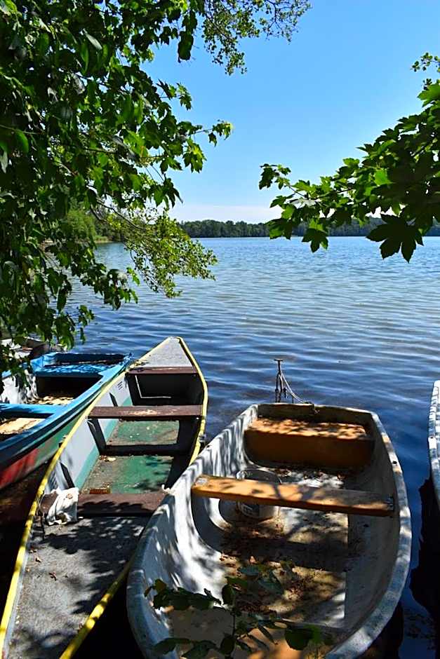 Waldwerk Wurlgrund Lychen