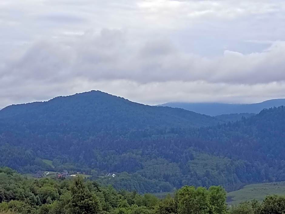Domki i apartamenty nad jeziorem solińskim z basenem I widokiem na góry