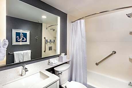 Room, 1 King Bed (Mobility/Hearing Accessible, Tub) (1 King Bed)