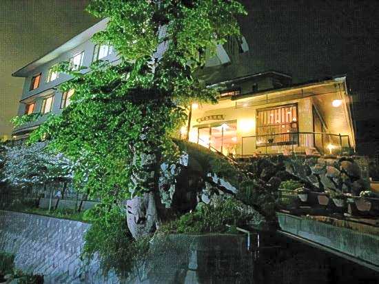 Iwashita Onsen Ryokan