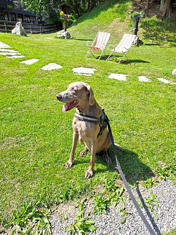 Hotel Garni St. Hubertus