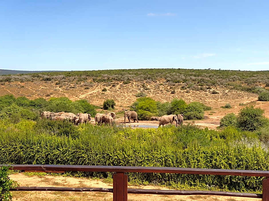 Rosedale Organic Farm Bed & Breakfast