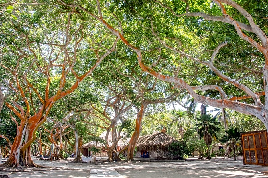 Hotel San Pedro de Majagua