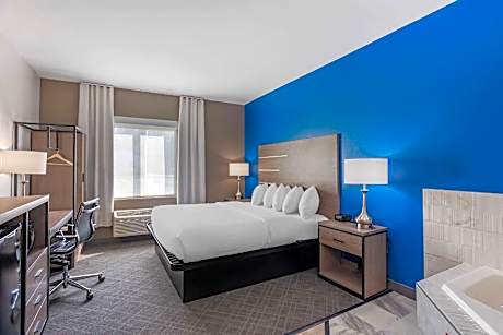 King Room - Non-Smoking