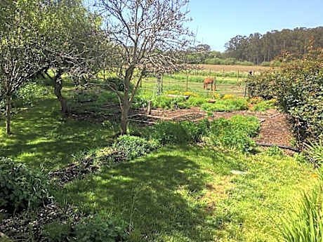 Pescadero Creek Inn
