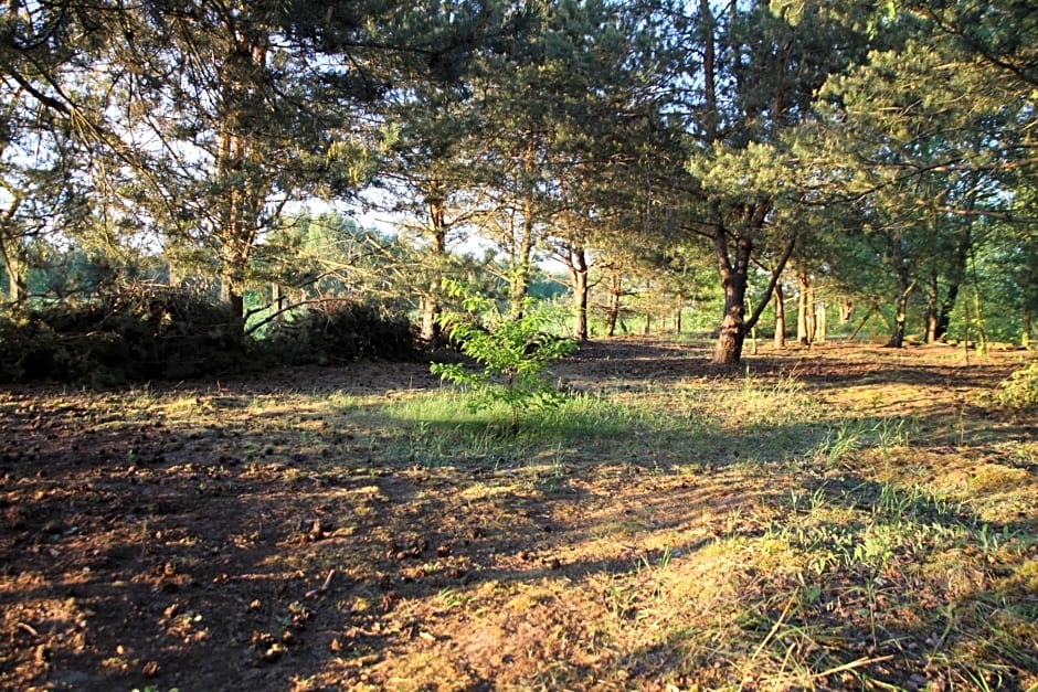 Dom imprezowy z noclegami Dziecinów