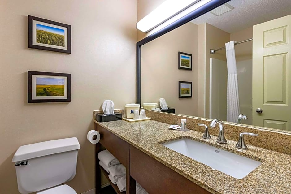 Comfort Inn Great Falls