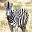 Morokolo Safari Lodge Self-catering