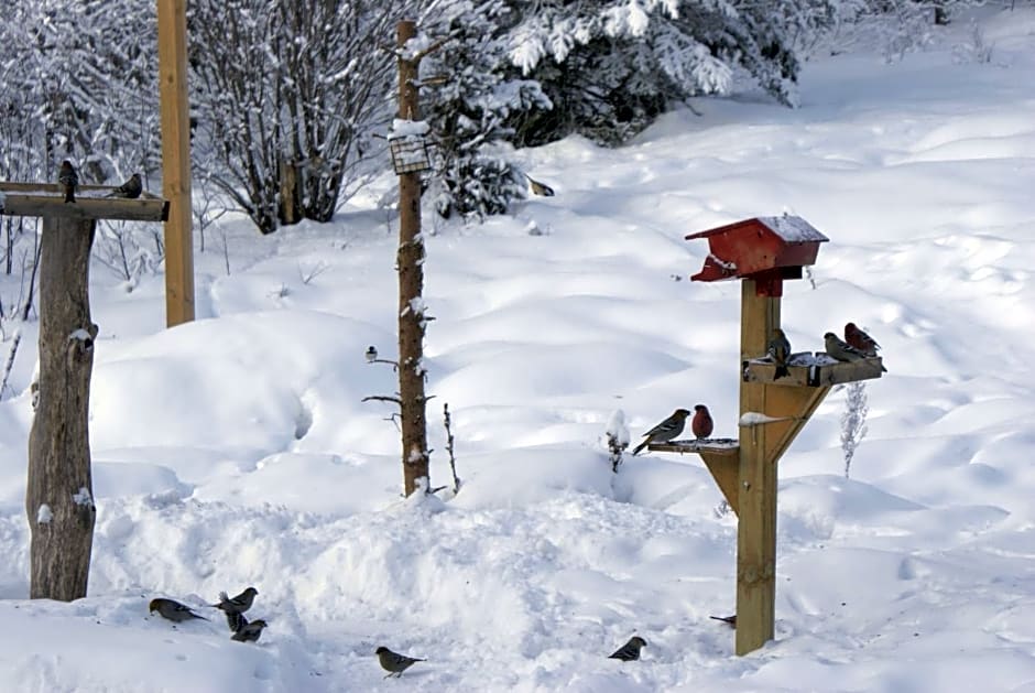 Top of Algonquin Bed and Breakfast