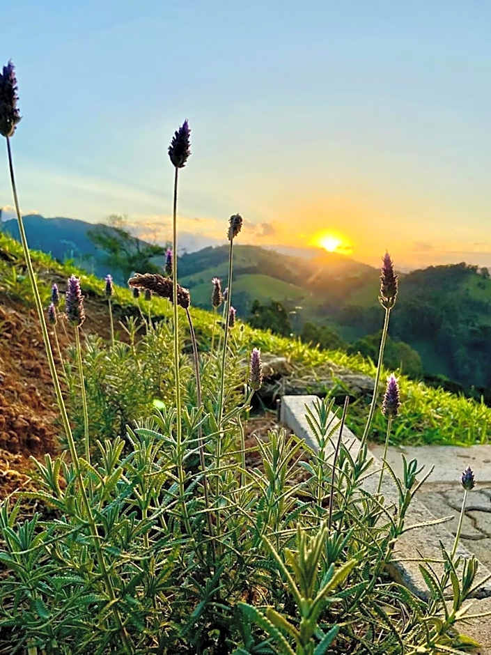 Chalés Terras Altas