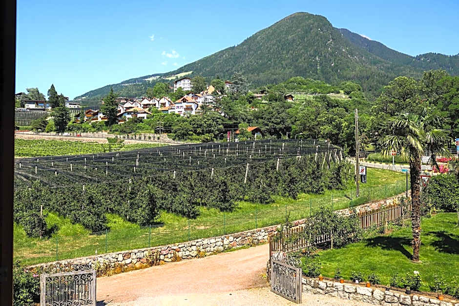 Guesthouse Pension Grafenstein