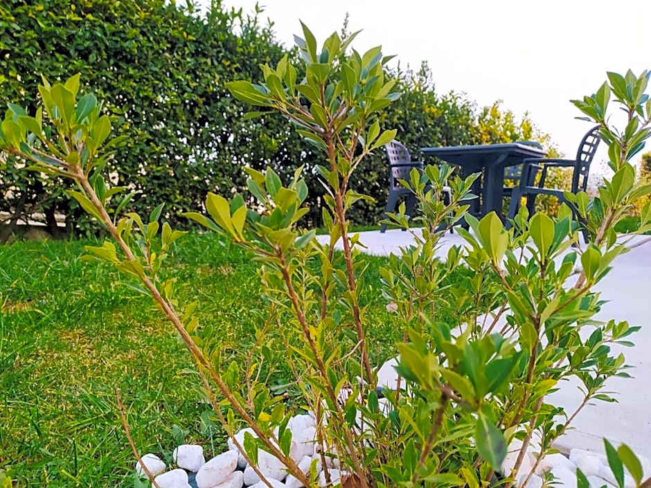 Residence Gonda&Giuliano