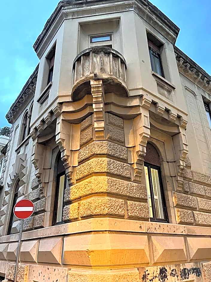 PALAZZO FIACCADORI - Historical Palace