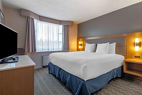 King Room - Shower Only