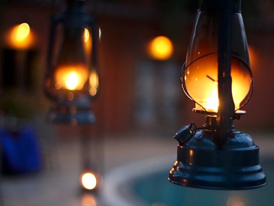 Seven sky Clarks Exotica