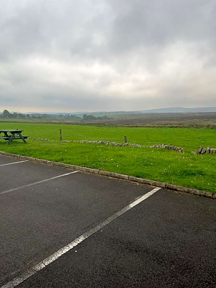 The Dog and Partridge