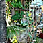 Gastello Inn Tulum