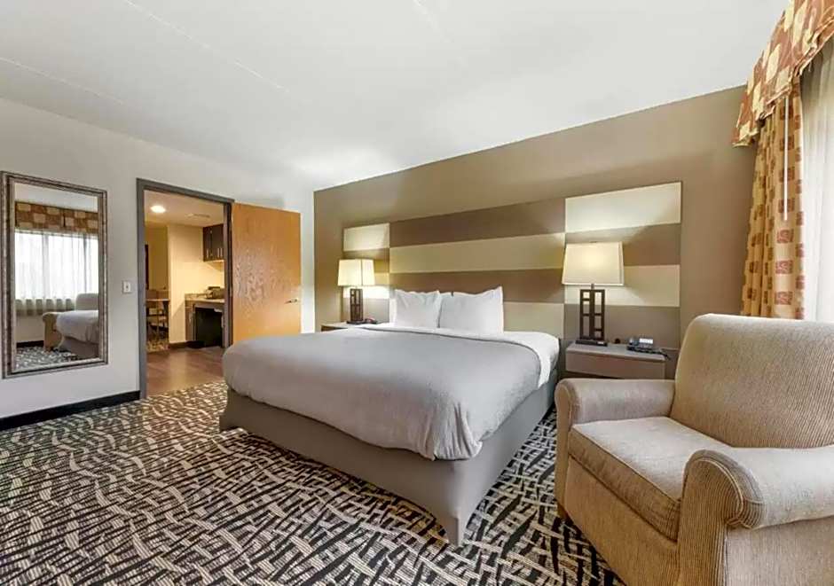 Quality Inn And Suites Rochester
