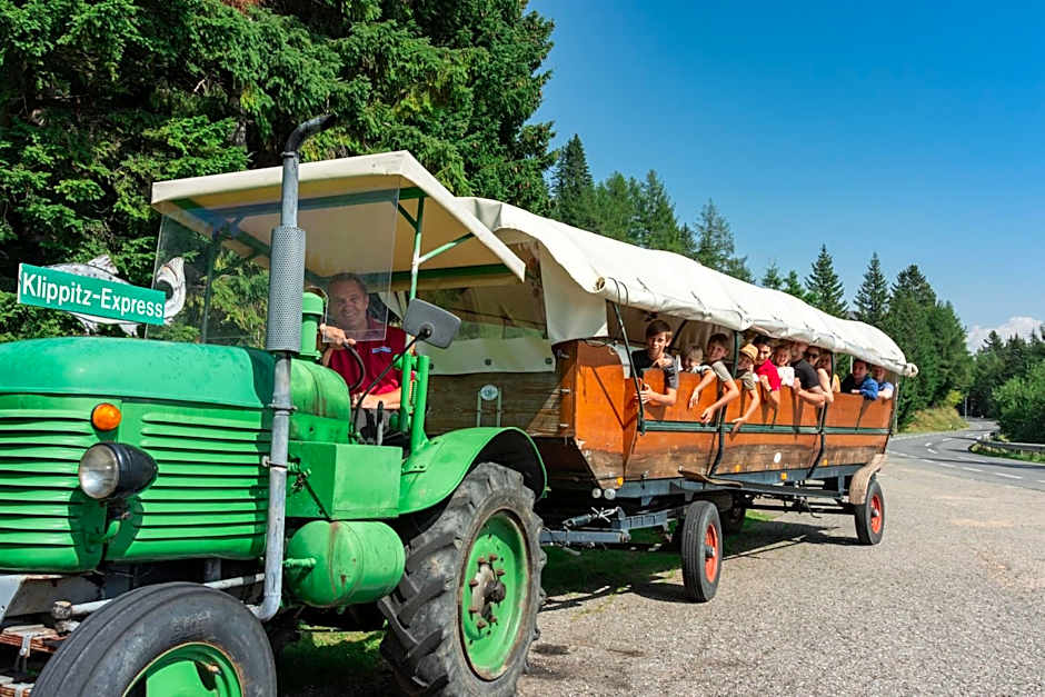 Hotel Alpengasthof Hochegger