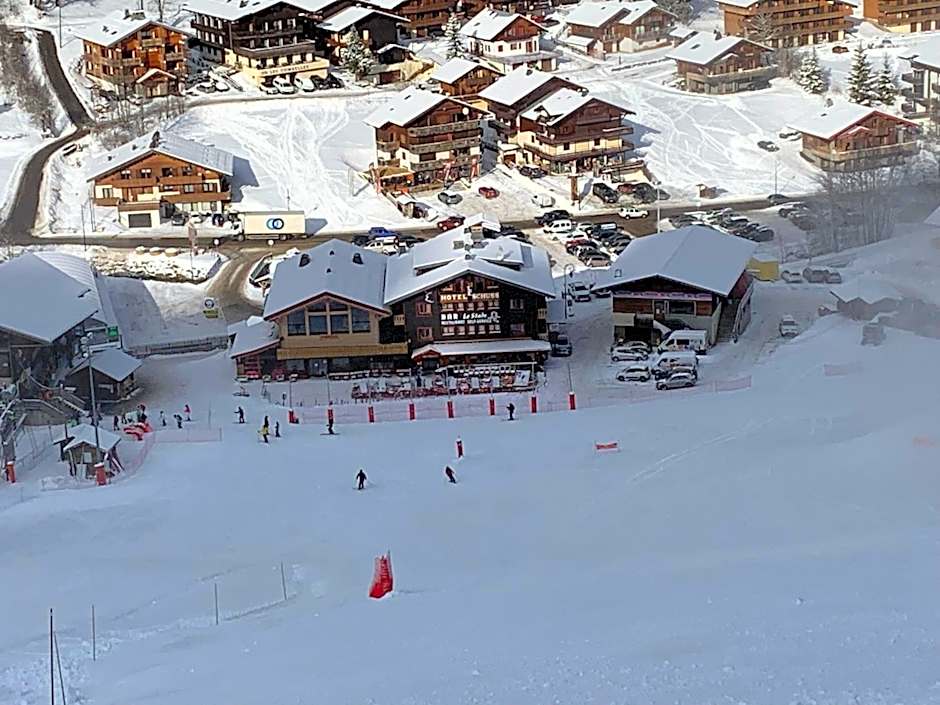 Le Schuss