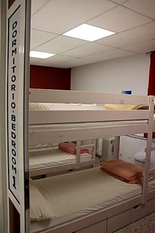 Bunk Bed in Mixed Dormitory Room