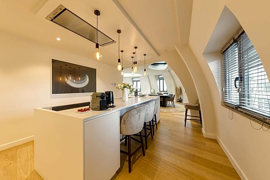 Triplex penthouse in the city center
