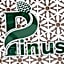 Pinus Hotel