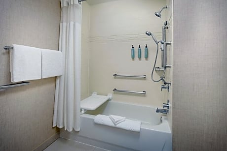 Suite, 1 Bedroom (1 Queen Bed and 1 Double Sofa Bed)