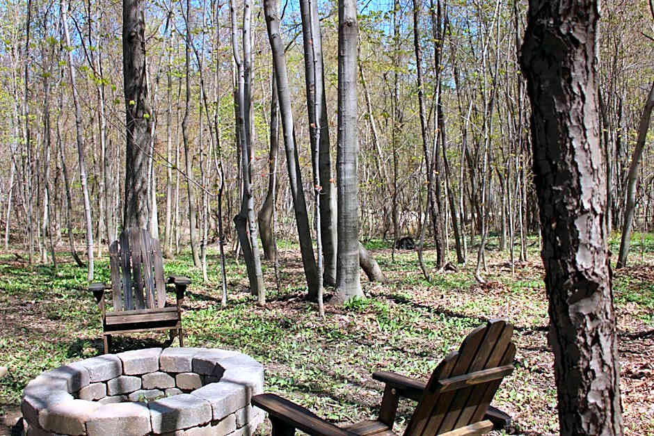 Vineyard Woods