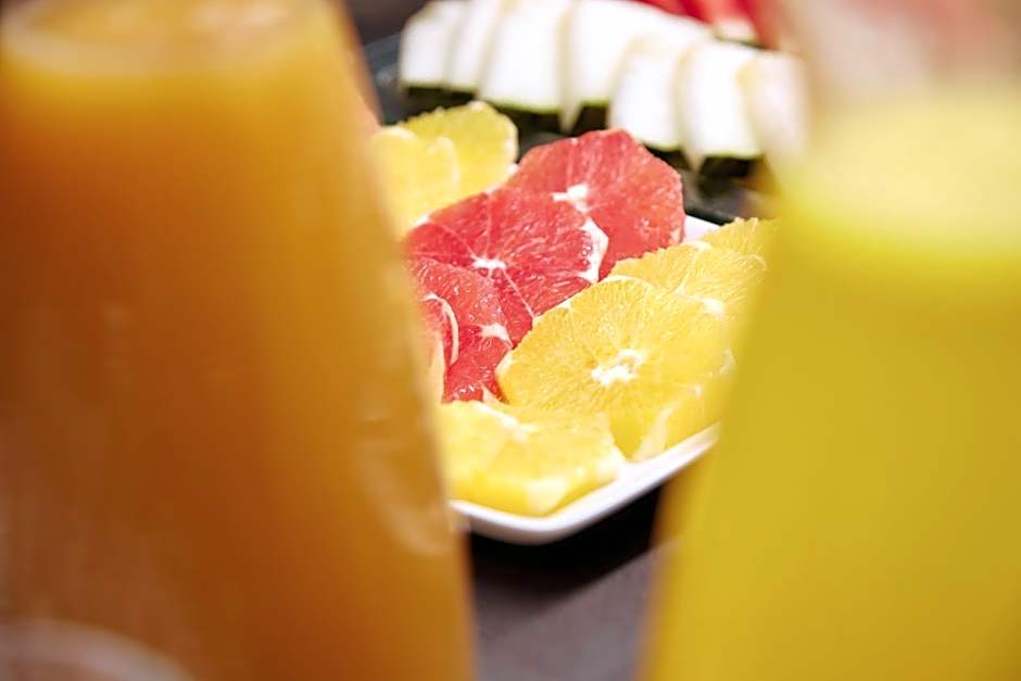 Hotel Arrizul Congress