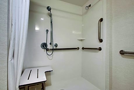 1 King Mobility Hearing Accessible Tub Stu Non-Smoking