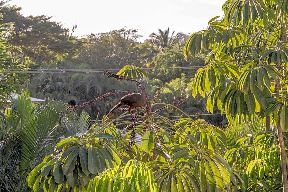 El Refugio de Sayulita - Health and Wellness House