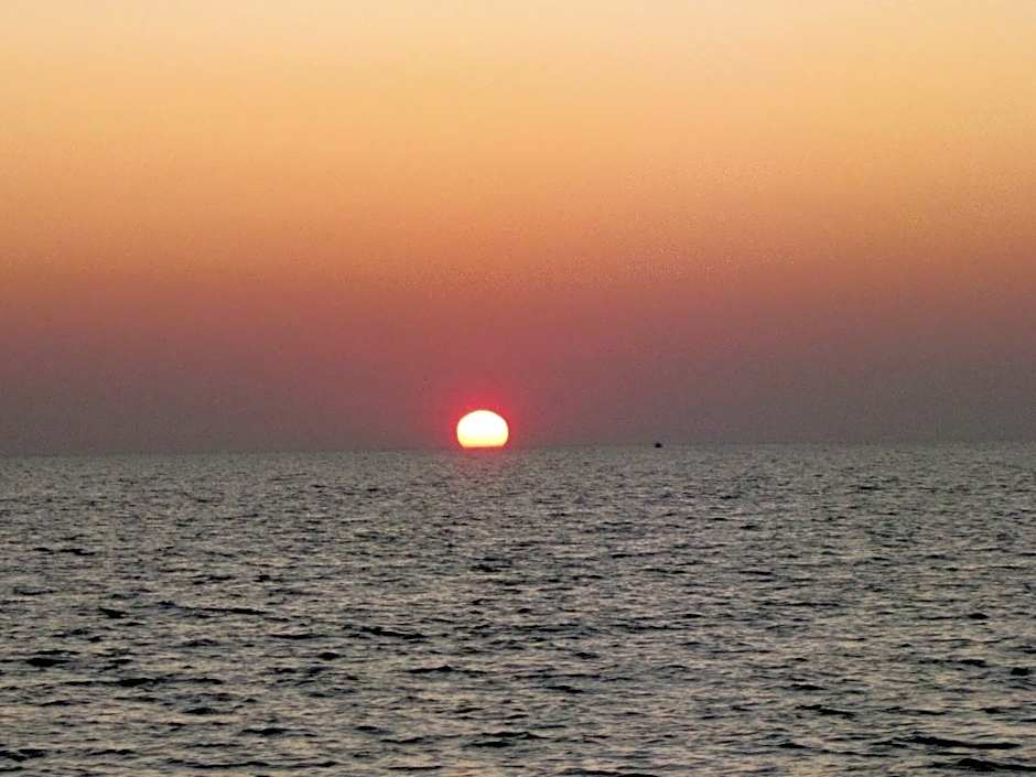 Mollymook Paradise Haven Motel