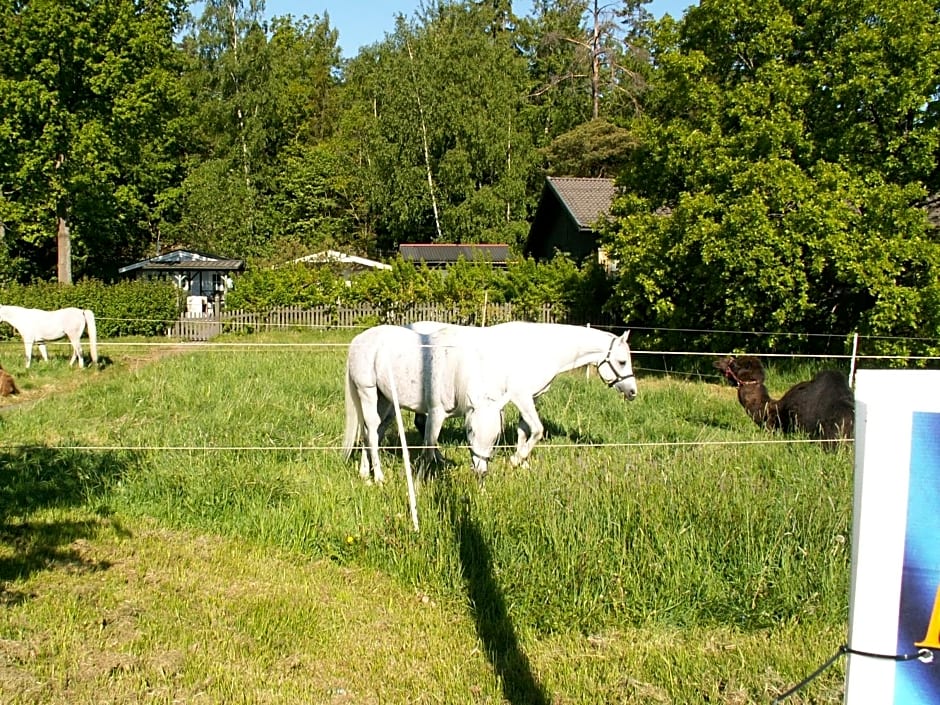 Bredängs Hostel