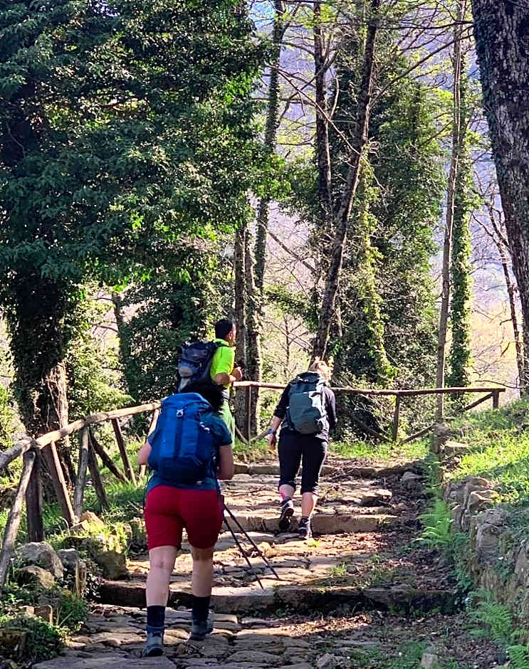B&B Relais sul Siroto