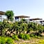Summer Dream Cyprus