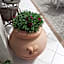 Rispescia Casa Vacanze Grosseto