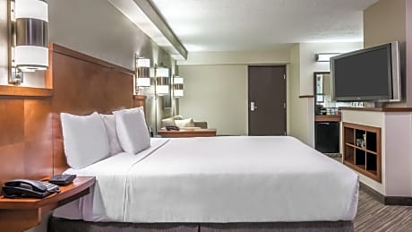 Accessible King Bed/Roll-In Shower