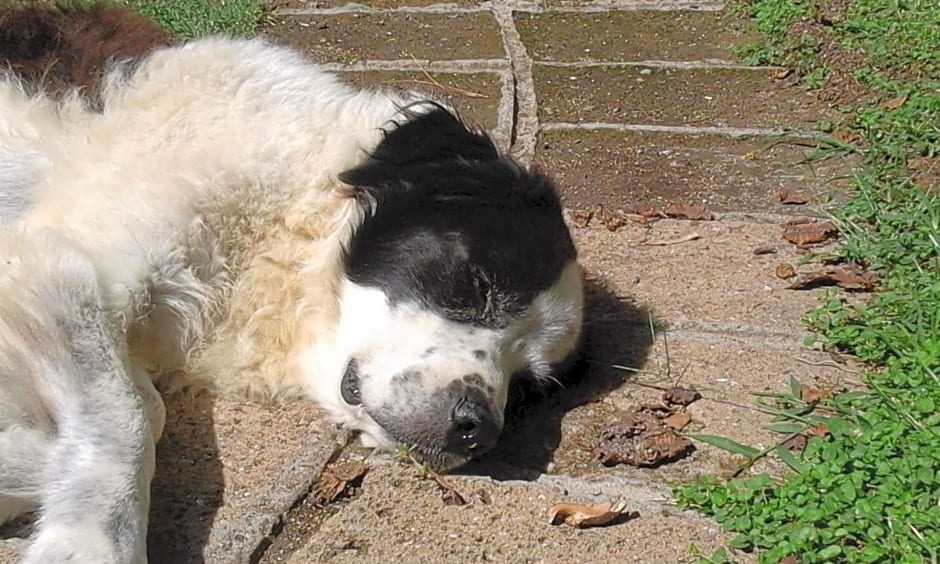 Poderi di Tragliatella