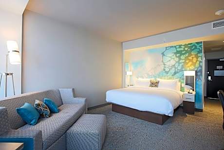 Guest room, 1 King, Sofa bed