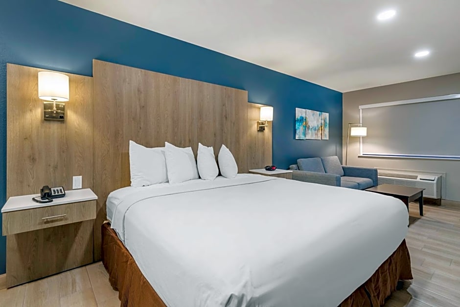 Best Western PLUS Edinburg Inn & Suites