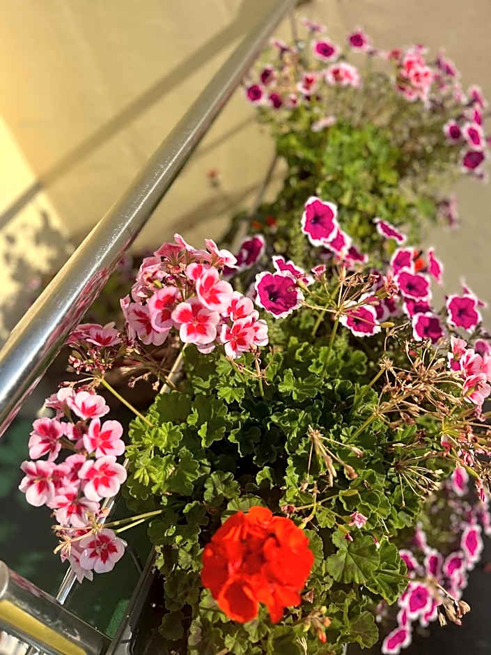 Hotel JÄGERHAUS in Singen am Hohentwiel