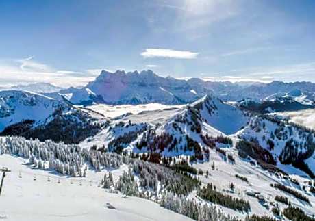 Hôtel des Portes du Soleil