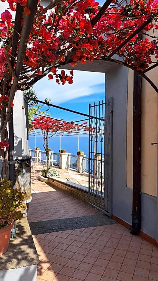 Domus San Vincenzo