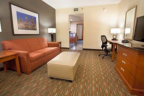 King Suite with Sofa Bed - Accessible, Tub