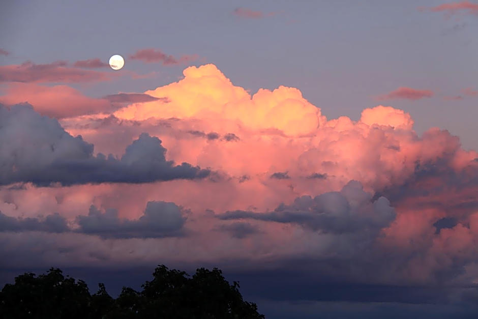 Bathurst Heights B&B