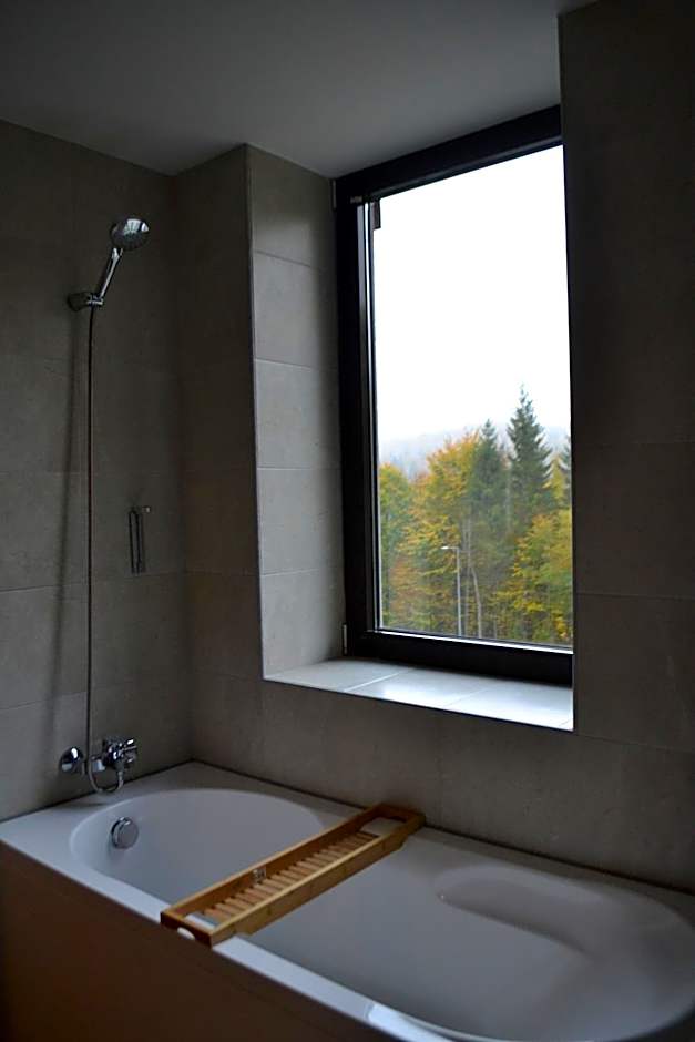 Mountain Nest in Silver Mountain Poiana Brasov